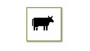 Rind/ Kalbleder