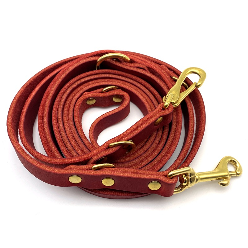 halsband mit schloss Karabiner Schloss schmal goldfarben – Daphnee Pet Supply main image 1