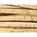 Korkband flach 5 mm, natur mit Gold