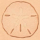 Punzierstempel "Sanddollar" 30 x 27 mm